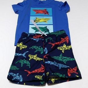 Land's End boys rash guard and swim shorts.